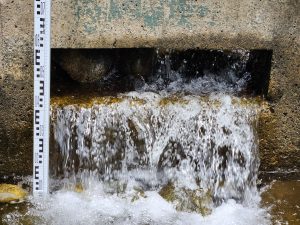 Caudal Ambiental 4